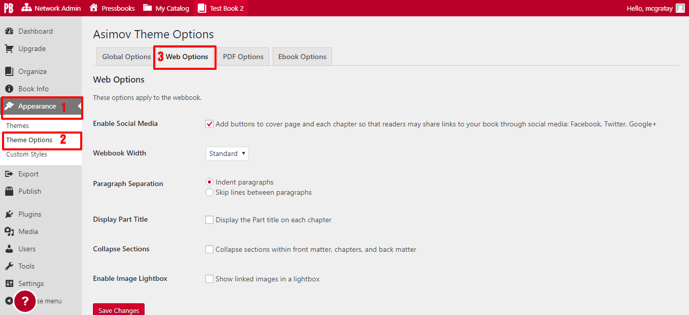 Click on the Web Options tab on the Theme Options page