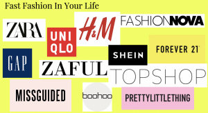 Non Fast Fashion Brands