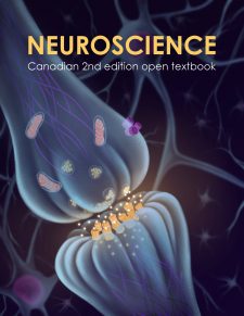 Neuroscience: Canadian 2nd Edition Open Textbook book cover