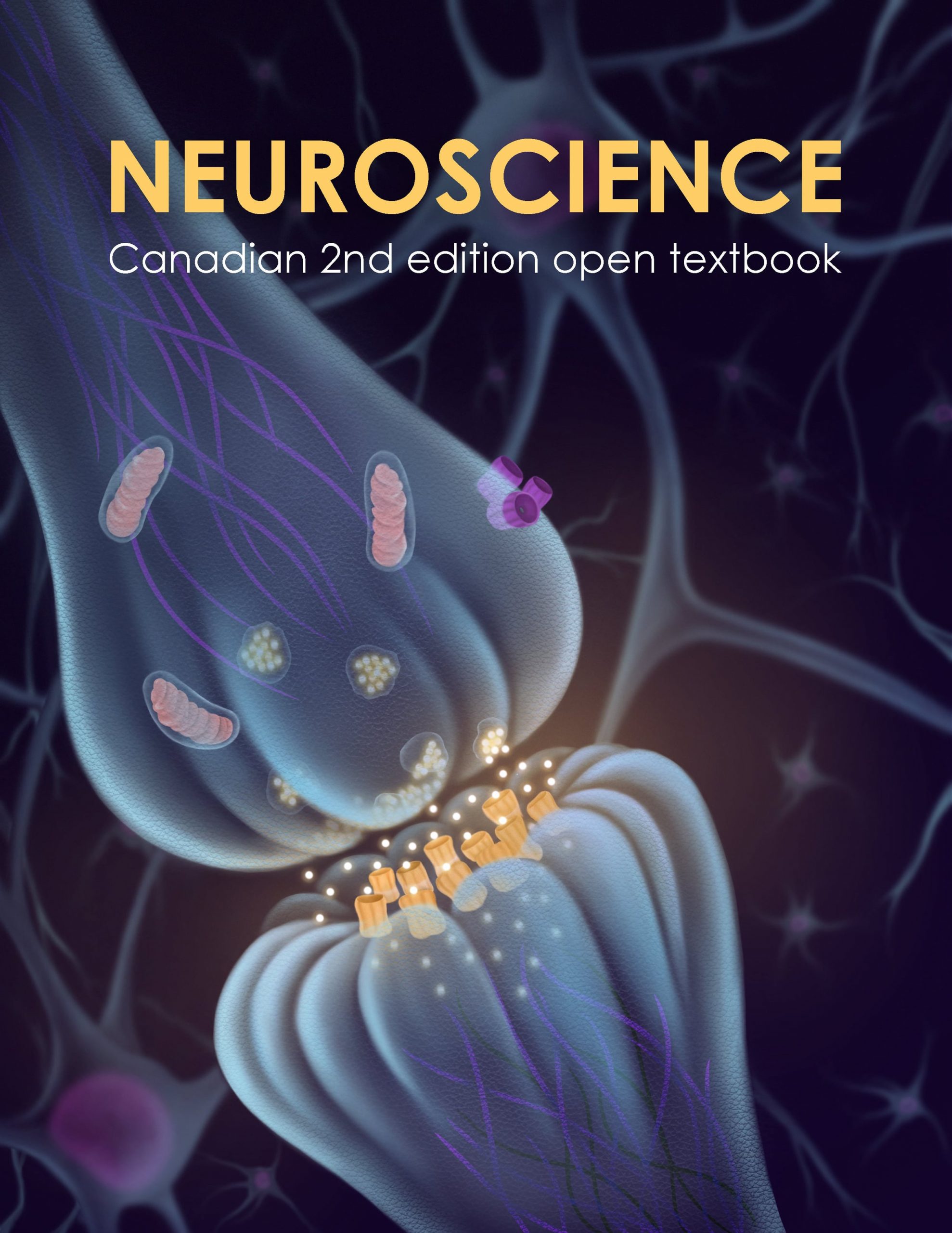 Cover image for Neuroscience: Canadian 2nd Edition Open Textbook