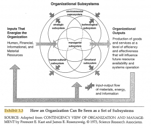 Characteristic strange possibility organization as organism – ORST100a: organizational metaphor in praxis