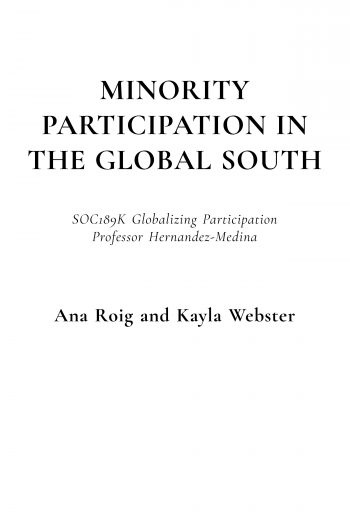 Cover image for Minority Participation in the Global South 