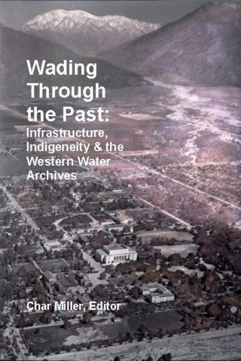 Cover image for Wading Through the Past