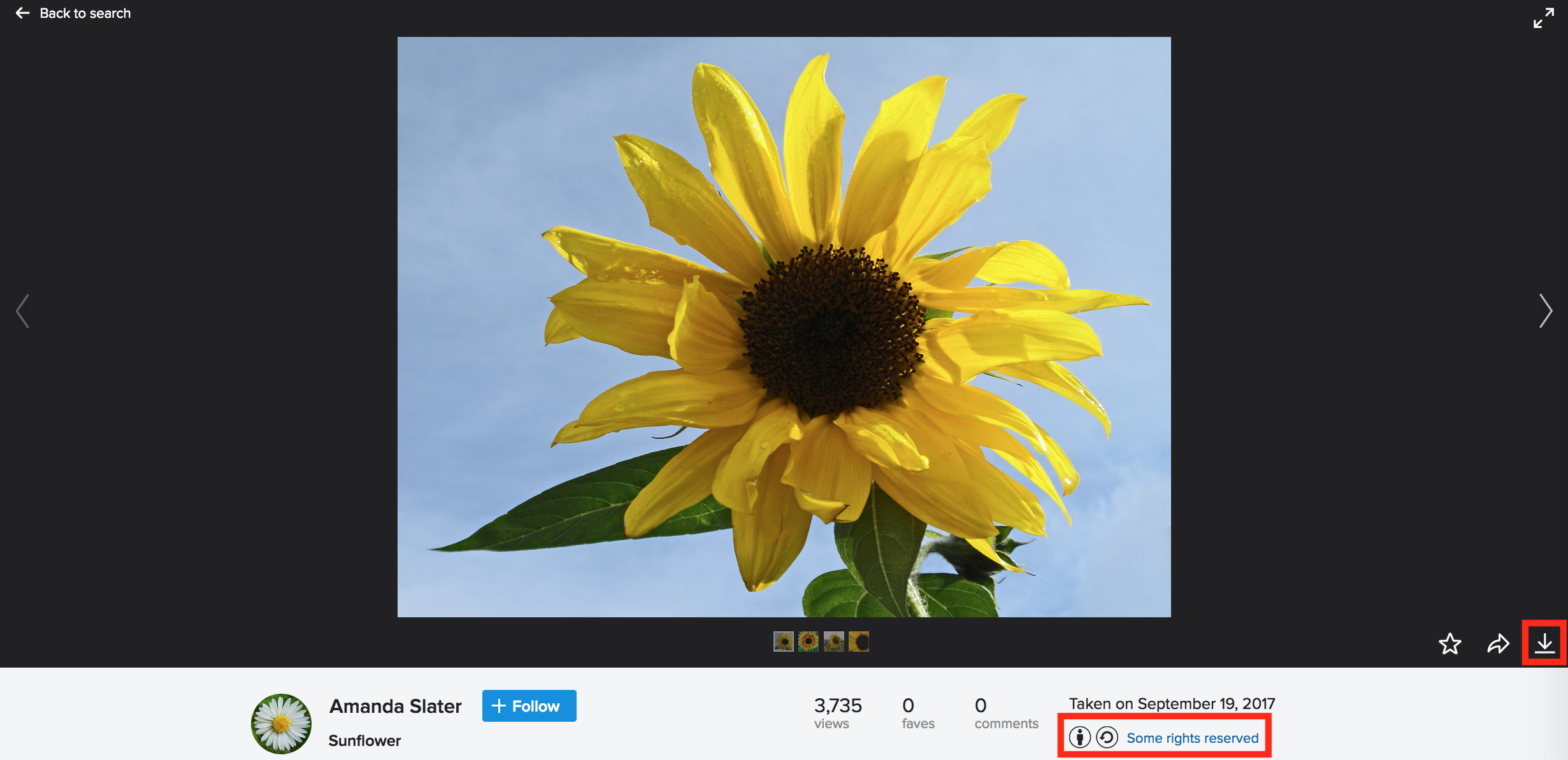 page with photo on Flickr
