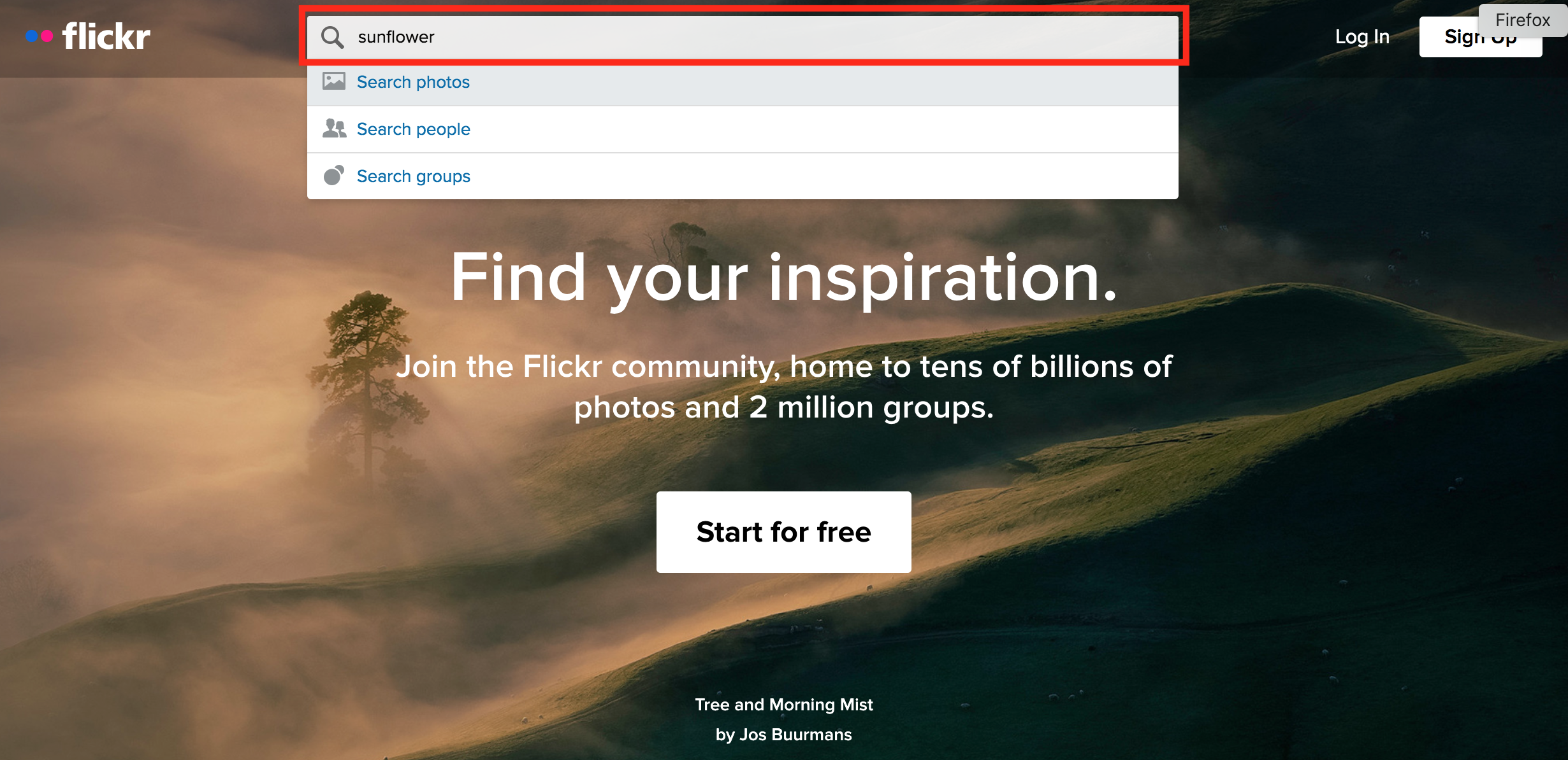 Flickr home page and search bar