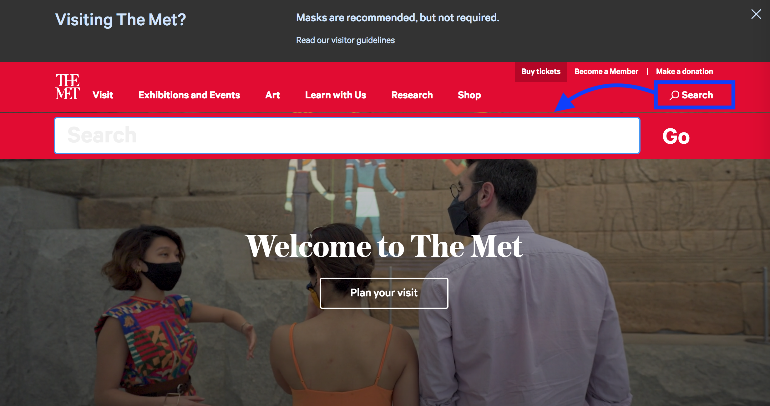 Met home page with search bar