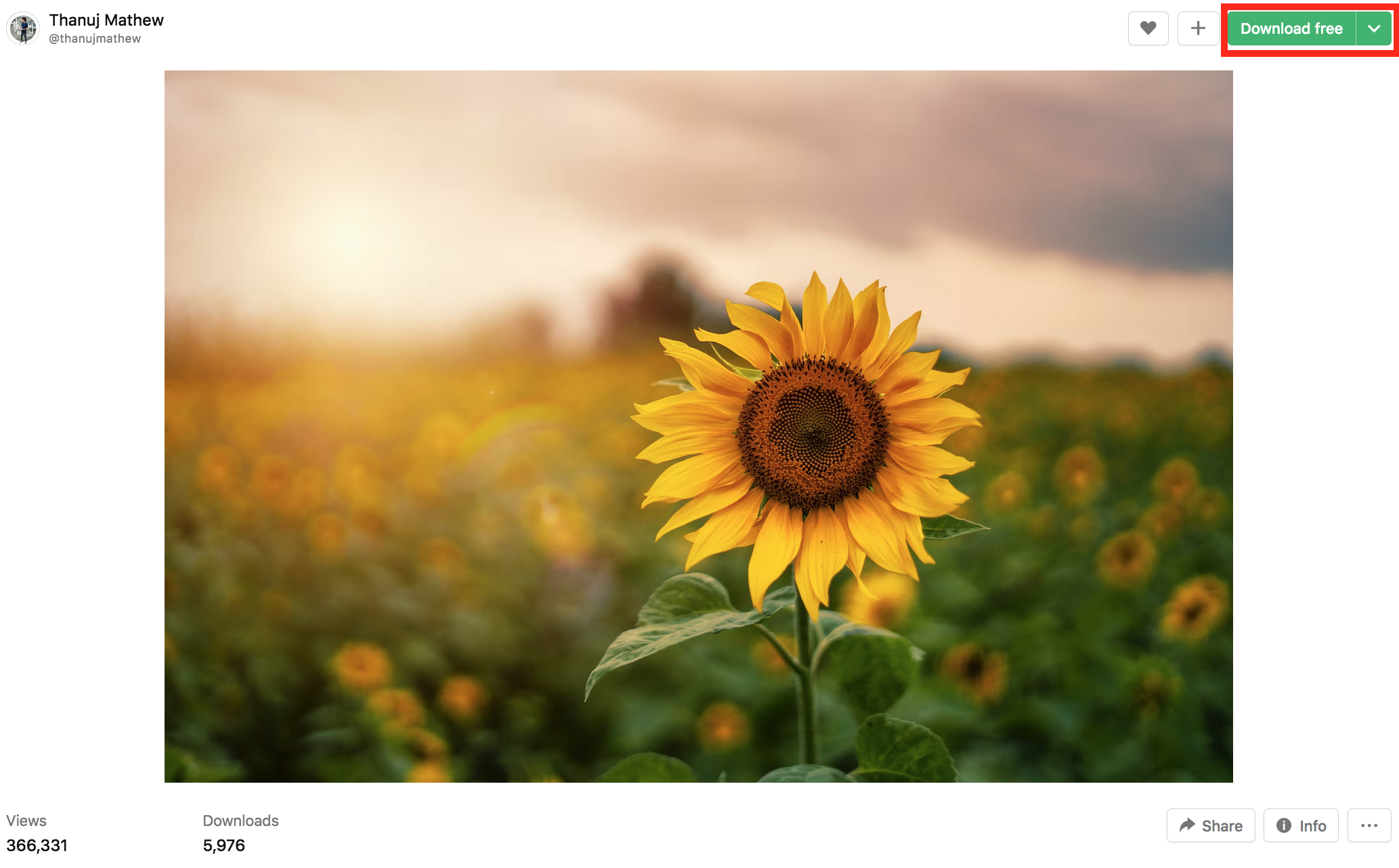 Unsplash download button