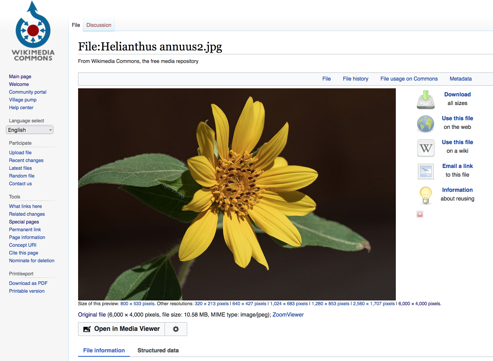 a page at Wikimedia Commons